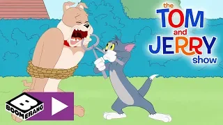 The Tom and Jerry Show | Tom Is Spike's dentist | Boomerang UK