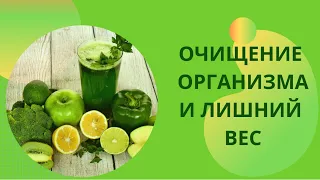 Очищение организма как лучший способ нормализовать свой вес/концепция здоровья/ детокс