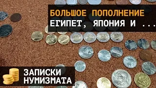 Большое пополнение коллекции монетами Египта, Японии и не только