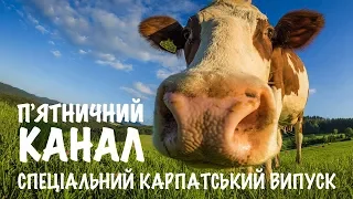 П'ЯТНИЧНИЙ КАНАЛ | СПЕЦІАЛЬНИЙ КАРПАТСЬКИЙ ВИПУСК