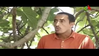 Boudhou 3 Ep 24 بوضو 3 الحلقة