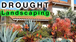 Drought TOLERANT Landscape Design