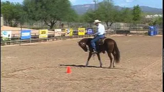 Warm up Drill: Recognizing Parts of the Horse