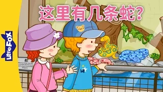 How Many Snakes Are There? (这里有几条蛇？) | Learning Songs 1 | Chinese song | By Little Fox