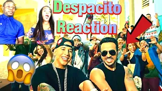 Luis Fonsi - Despacito ft. Daddy Yankee (REACTION)