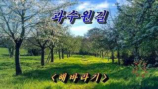 과수원 길💜해바라기, 자막수록 (HD With Lyrics)🌴🌿🍒🌻🍓