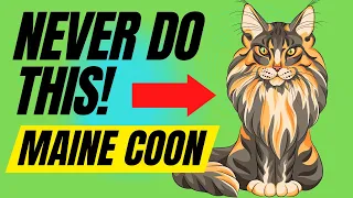 7 Things You Must NEVER Do To Your Maine Coon Cat