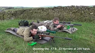 Shooting the .17 & .22 Hornets at 200 Yards