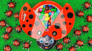 Oddly Satisfying Video l Color Mixing All My Yummy Candy in Rainbow Ladybug with Soccer Balls ASMR