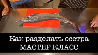 Как разделывать осетра, мастер класс. Готовим Вкусно