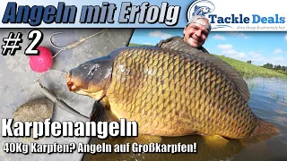 40Kg Monster Karpfen? Angeln auf Großkarpfen!