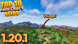 Top 5 EPIC VILLAGE SEEDS for Minecraft 1.20.1! (Best Minecraft Trails & Tales Seeds Java & Bedrock)