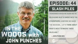 In the Woods - Episode 44: Slash Piles