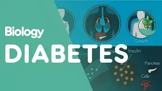 What is Diabetes? | Physiology | Biology | FuseSchool