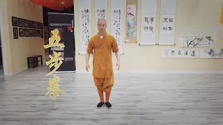 Five Step Fists (五步拳 ) demonstrated by Master Shi Yandi (释延荻)