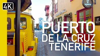 Tenerife 2023 | Loro Park Road Train Tour Puerto De La Cruz