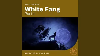 Chapter 3 - White Fang (Part 1)