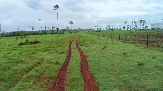 FAZENDÃO 1900 ALQUEIRES COM 550 FORMADO SÃO FELIX DO XINGU- PARÁ