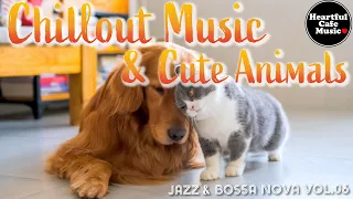 Chillout Music & Cute Animals Jazz & BossaNova Vol.6【For Work / Study】Restaurants BGM, Lounge Music.