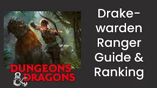 Drakewarden Conclave (Ranger) Subclass Guide and Power Ranking in D&D 5e - HDIWDT