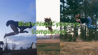 🌊🌲Bluewhisp/Cybercyn compilation!🌲🌊