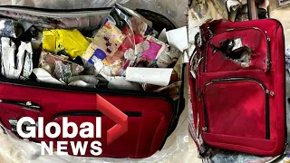 Luggage nightmare: Air Canada passenger fights for compensation after bag arrives destroyed