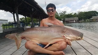 Fishing Video !!! Awesome Giant Mekong Catfish-  BKKGUY