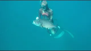 Spearfishing Exmouth 2018 - Submerge Yourself