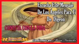 MENSAJE de los ÁNGELES PARA TI DIGEON💌ARCÁNGEL JOFIEL💛CONECTA con la VIDA🔴enseñanzas VERTI