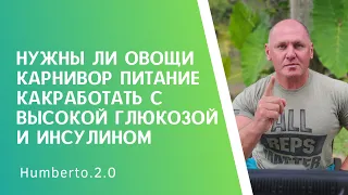 Растительные продукты. Карнивор.