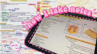 HOW I TAKE DIGITAL NOTES IN NURSING SCHOOL ON MY IPAD (how to get A’s + tips!)