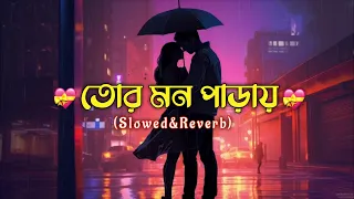 Tor Mon Paray Lofi|তোর মন পাড়ায়(Slowed&Reverb)|Bengali Lofi Song