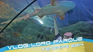 Loro Parque - Tenerife video review