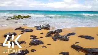 Tropical Beach Relaxation 8 HOURS - Calming Ocean Waves Sounds for Sleep