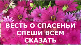 Весть о спасеньи спеши всем сказать. Лучшие христианские песни.