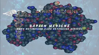 AMPK: The Energy Enzyme by Sapien Medicine (Activation) (Energetically Programmed Audio)