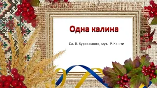 Одна калина караоке мінус