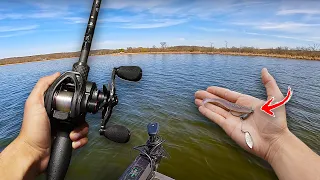 Catching SHALLOW Spring Bass with Swimbaits! (Insane Day!)