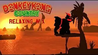 Tenpers Universe - Donkey Kong Country • Cool & Calming Music 🍌