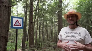 Harvard Forest Hemlock Hospice Documentary