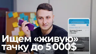 Подбираем авто до 5 000$. Как найти «живое» авто?