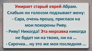 ✡️ Мерзавка Рива на Похоронах у Абрама! Анекдоты про Евреев! Выпуск #222