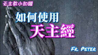 Fr. Peter 【天主教小知識】 耶穌自己的祈禱文：天主經 (中文字幕)