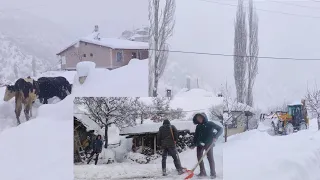 KÖYDE BEKLENEN O  BOL KAR YAĞIŞI | KÖYDE KIŞ GÜNÜ