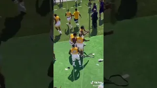 Brawl Between Prairie View A&M University & Southern University’s Football Teams!