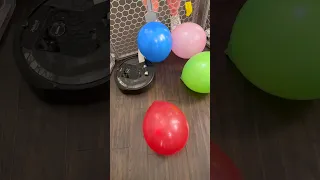 Roomba Balloon Roulette 😱