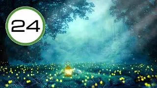 SONIDO de GRILLOS 🐜🐜 para DORMIR o MEDITAR Sonidos de la Naturaleza Nocturnos🌓 en Bosque de Noche