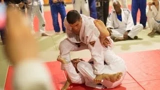 1-Handed Rener vs. Purple, Brown & Black Belt at Vancouver Seminar