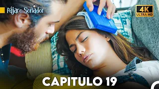 Pájaro Soñador Capítulo 19 (Doblado En Español 4K)