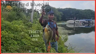 How to find bluegill (Thanksgiving special)